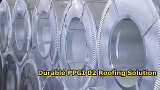 PPGI 02